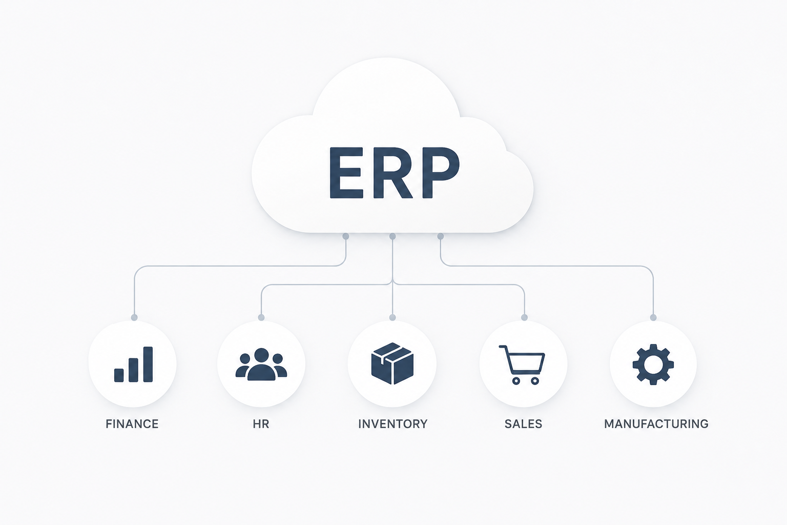Cloud ERP